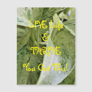 Live Life & Thrive Magnetic Greaming Card