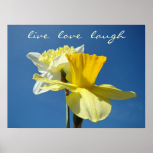Live Love Laugh Arte decorativo Spring Daffodils