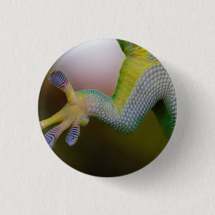 Lizard - Botón