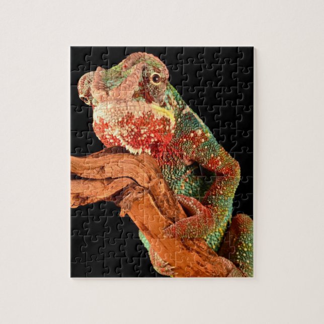 Lizard Chameleon Puzzle (Vertical)
