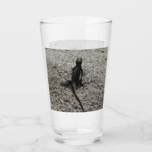 Lizard negro