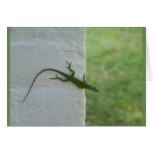 Lizarda verde saliendo