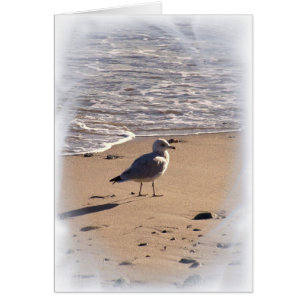 Lkes camina de largo en la playa…