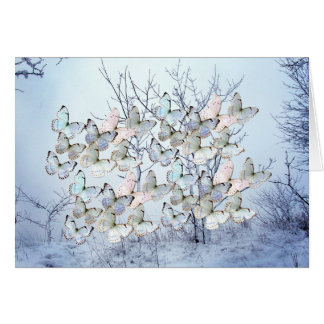 Ll del espejismo del invierno