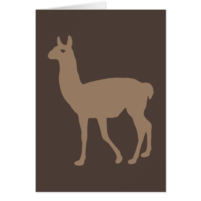 Llama (Frente)