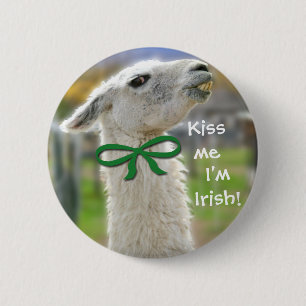 Llama-Beso irlandés yo soy el botón de St Patric