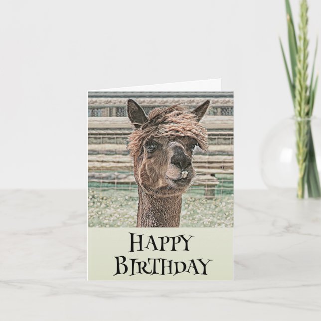 Llama de cumpleaños feliz - Tarjeta de cumpleaños (Anverso)