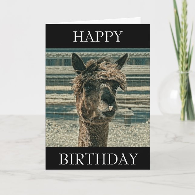 Llama de cumpleaños feliz - Tarjeta de cumpleaños (Anverso)