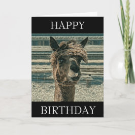 Llama de cumpleaños feliz - Tarjeta de cumpleaños