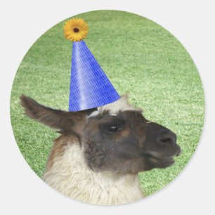 Llama divertida en pegatinas del gorra del fiesta