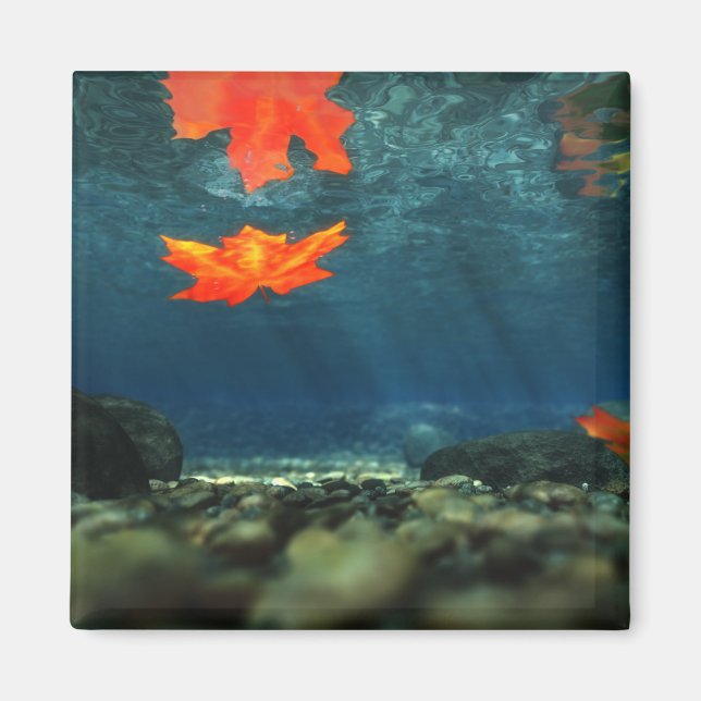 Llama en el imán del agua (Frente)