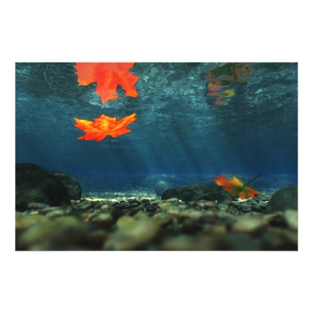 Llama en la imagen de fotos de agua (Frente)