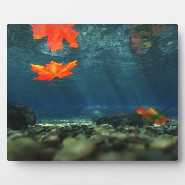 Llama en la placa de la imagen del agua (Frente)