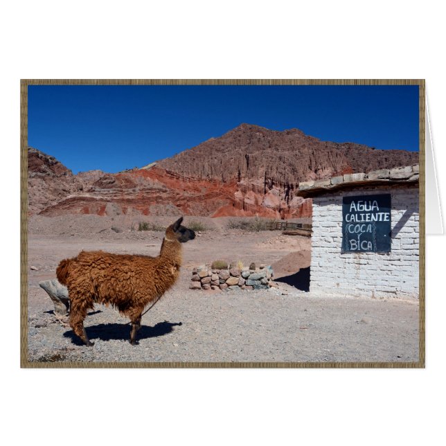 Llama en la Quebrada de Cafayate, Argentina (Anverso (Horizontal))
