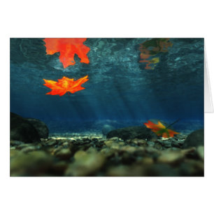 Llama en la tarjeta de agua