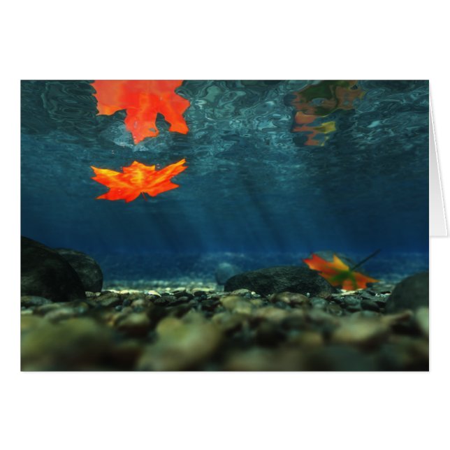 Llama en la tarjeta de agua (Anverso (Horizontal))