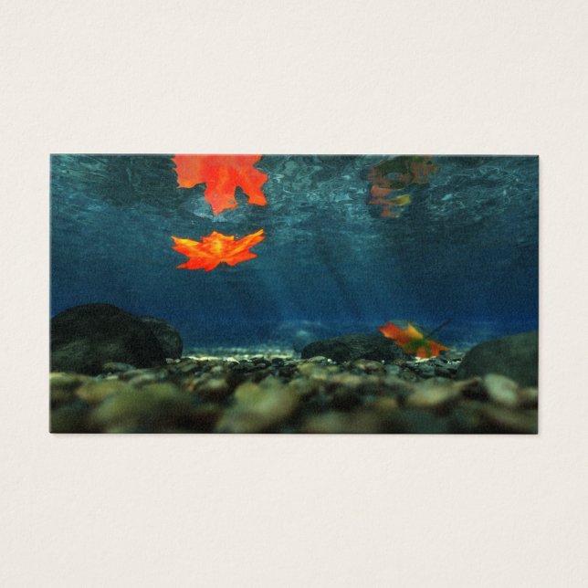 Llama en los marcadores de agua (Frente)