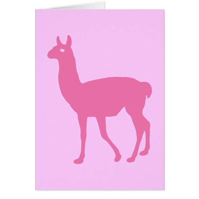 Llama rosa (Frente)