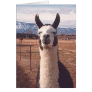 "Llama sonriente"