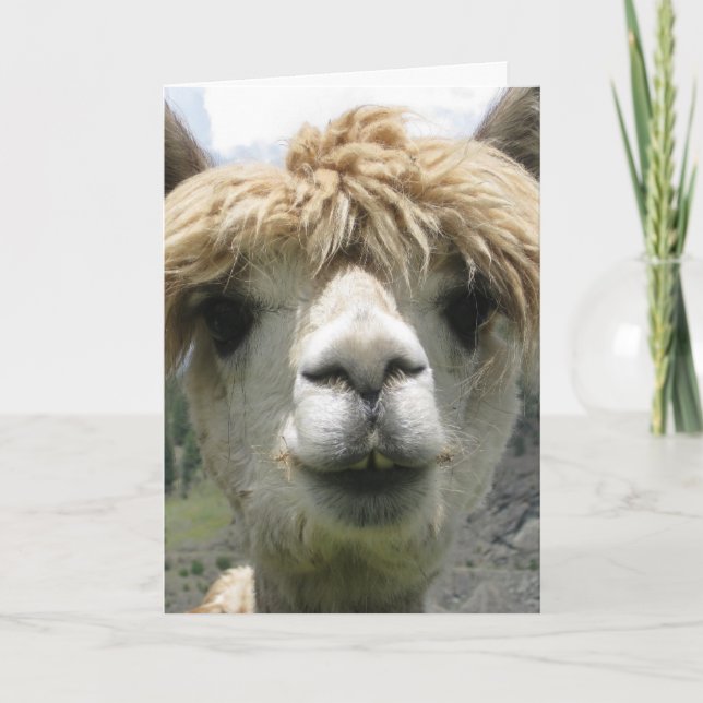LLAMA TE AMO LAS TARJETAS DE ENCANTO (Anverso)