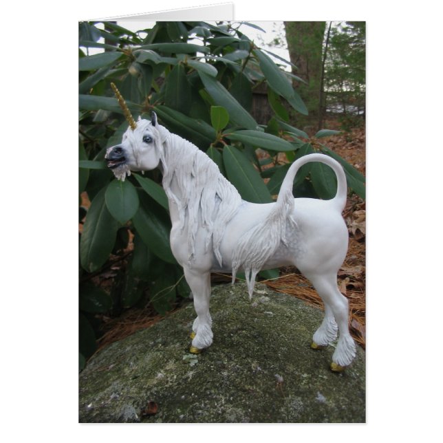 Llamando a Unicorn (Frente)