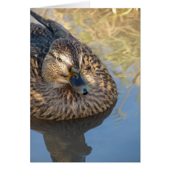 Llamar al pato en agua (Frente)
