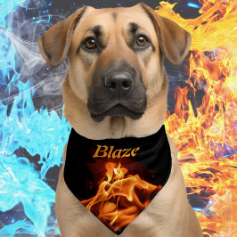 Llamas llamativas queman fuego fotográfico negro