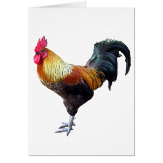 Llano del gallo