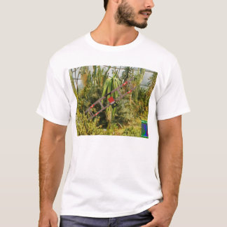 Llano en camiseta del jardín