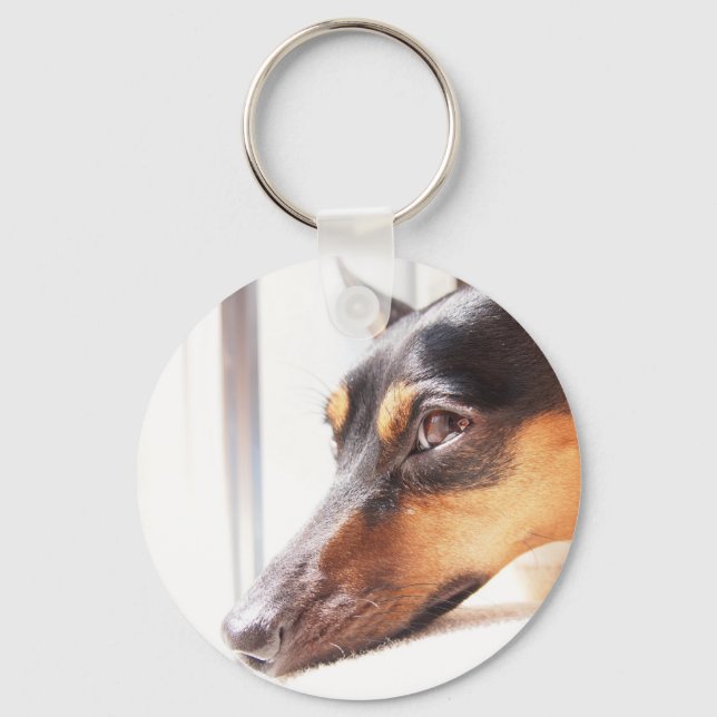 LLAVERO ミ・・ュ・・・・ャ ア (Anverso)