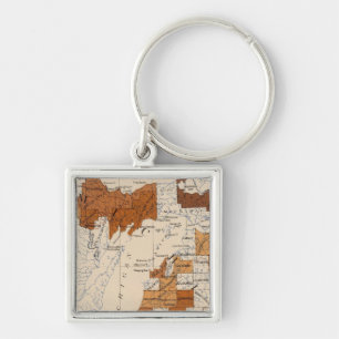 Llavero 106 Difteria, grupo Michigan