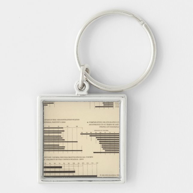 Llavero 111 Tasas de mortalidad 1900 (Frente)