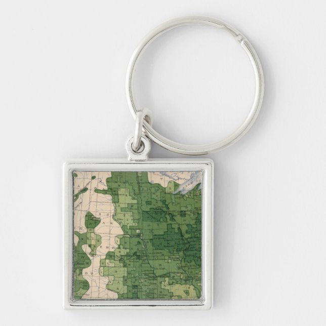 Llavero 159 Oats/acre (Frente)
