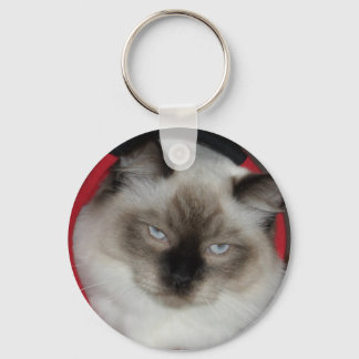 LLAVERO 2009_12090051