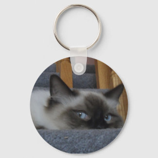 LLAVERO 2010_0302009