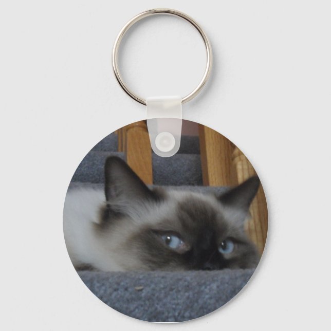 LLAVERO 2010_0302009 (Anverso)