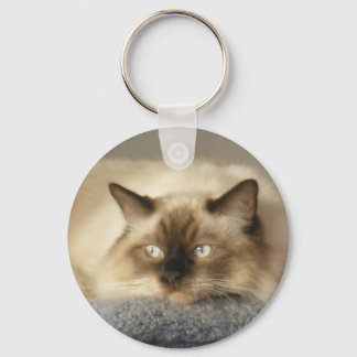 LLAVERO 2010_04240003