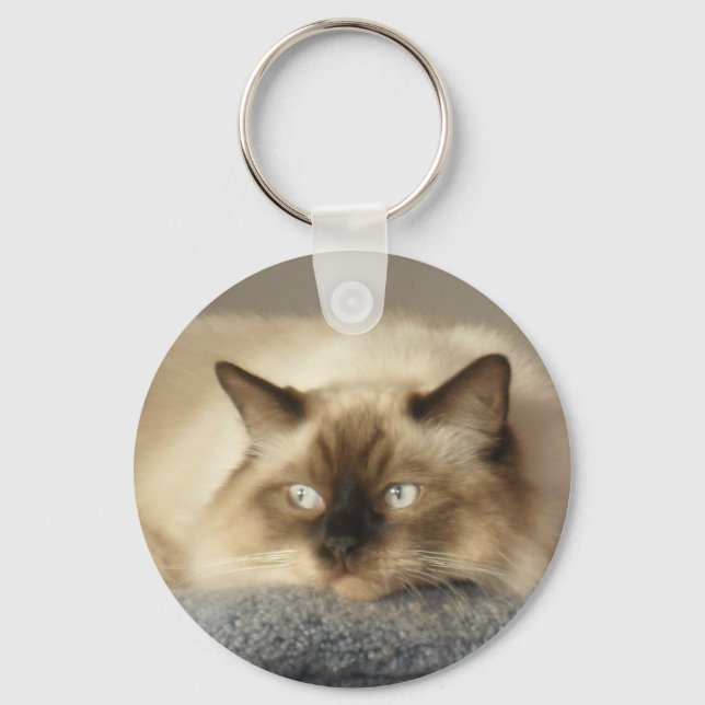 LLAVERO 2010_04240003 (Anverso)