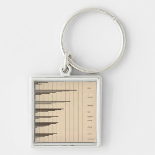 Llavero 20 Población urbana a población total por estado