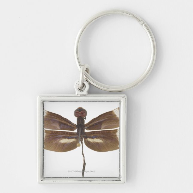 LLAVERO 23599152 (Frente)