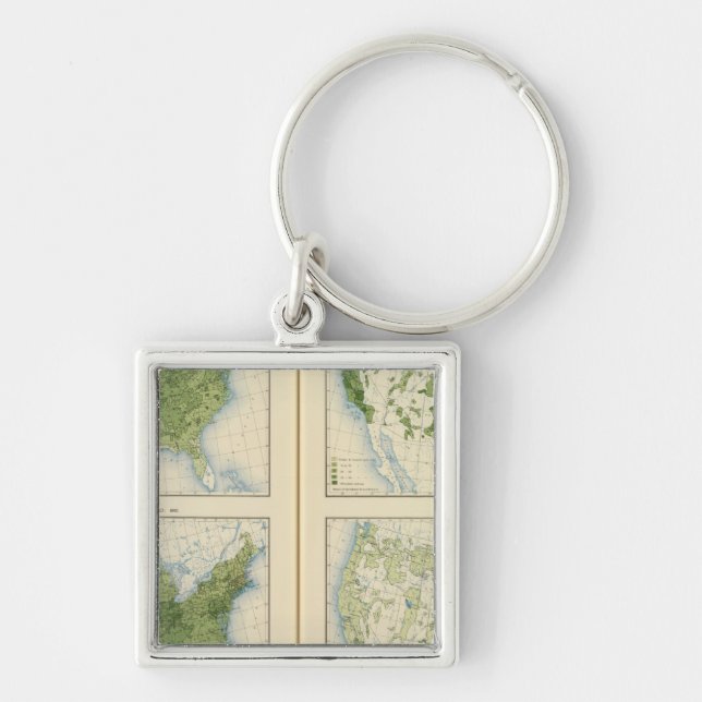 Llavero 47 Maíz 1890 (Frente)