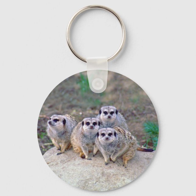 Llavero 4 Meerkats Peering Keychain (Anverso)