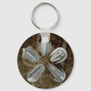 Llavero 5 Keychain de Trilobites