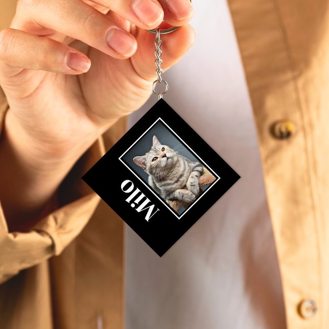 Llavero A lo largo del puente arcoiris Mascota de plata me (Subido por el creador)