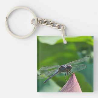 Llavero A Slaty Skimmer dragonfly