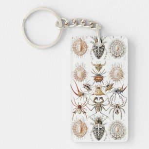 Llavero Academia Oscura Haeckel Vintage Araña Simetría Art
