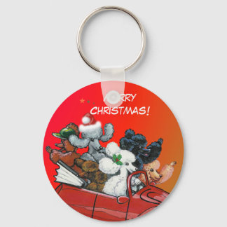 Llavero Aceites de la cadena de Navidades de pepinos
