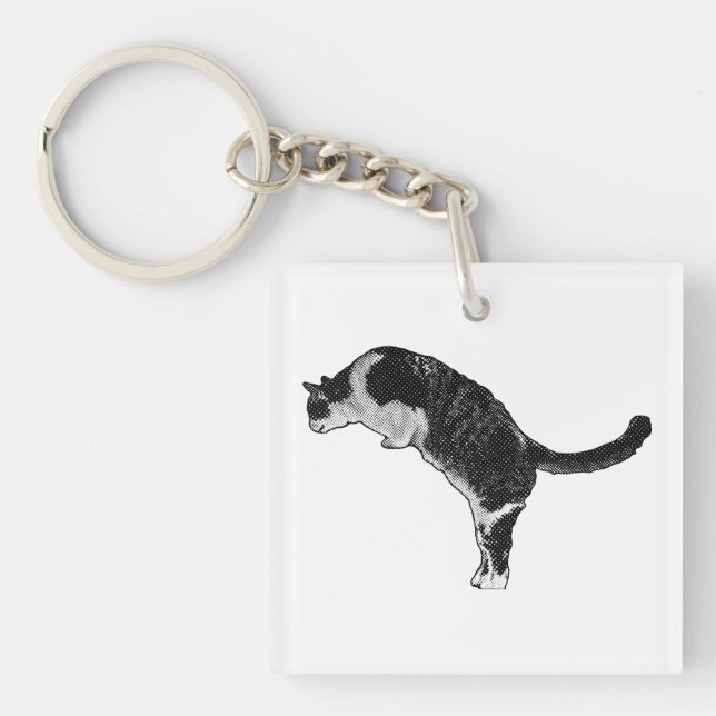 Llavero Acento de gato fresco (Frente)