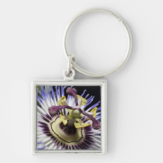 Llavero Acercamiento de las flores de pasión (MR) (Frente)