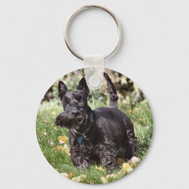 Llavero Ach (Anverso)